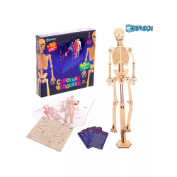Набор для опытов и экспериментов "Строение человека" для детей