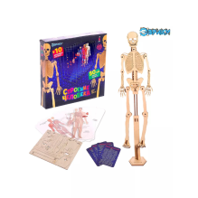 Набор для опытов и экспериментов "Строение человека" для детей