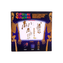 Набор для опытов и экспериментов "Строение человека" для детей