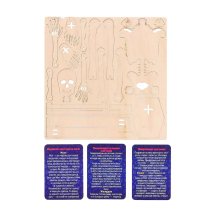 Набор для опытов и экспериментов "Строение человека" для детей