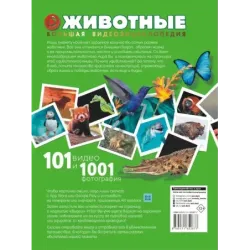 Животные. 101 видео и 1001 фотография