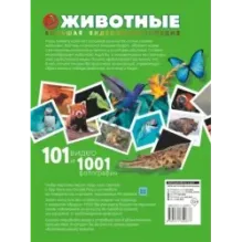 Животные. 101 видео и 1001 фотография