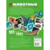 Животные. 101 видео и 1001 фотография