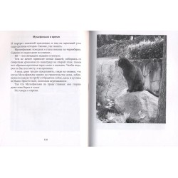 Из жизни гражданина N.