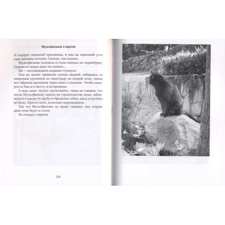 Из жизни гражданина N.