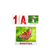 Подарочный набор "Мегачемодан" по методике Гленна Домана