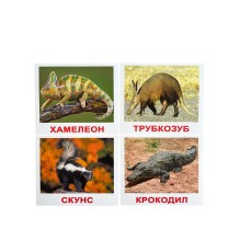 Подарочный набор "Мегачемодан" по методике Гленна Домана