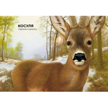 Лесные животные в натуральную величину