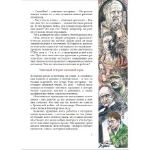 Пропавшие легионы Вара: загадка битвы в Тевтобургском лесу