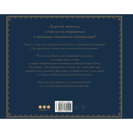 Секретный мир магии