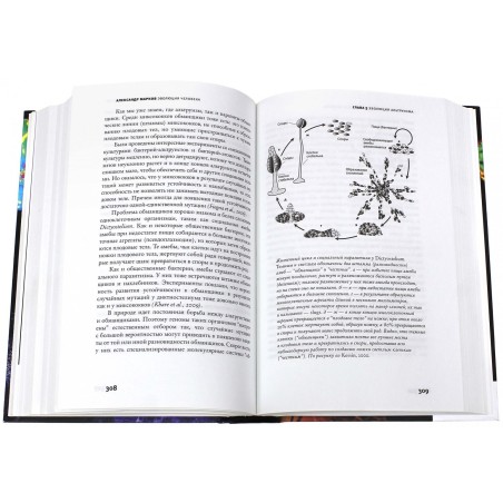 Эволюция человека. Кн.2 Обезьяны, нейроны и душа