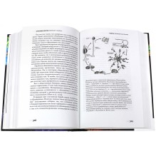 Эволюция человека. Кн.2 Обезьяны, нейроны и душа