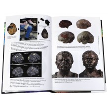 Эволюция человека. Кн.2 Обезьяны, нейроны и душа