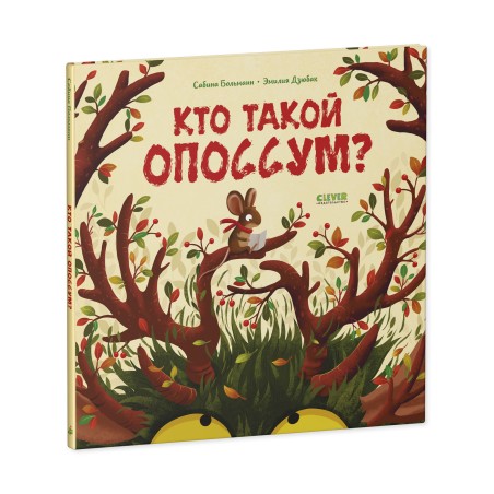Книжки-картинки. Кто такой опоссум?