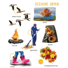 50 звуков. Мир вокруг меня