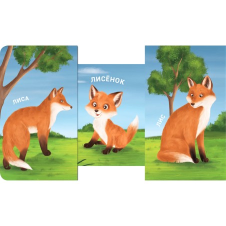 Книжки - задвижки. Мама, папа и малыш. Дикие животные