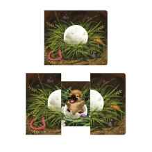 Книжки - задвижки. Кто там внутри?