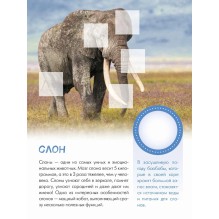 Кто живёт в зоопарке?