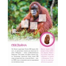 Кто живёт в зоопарке?