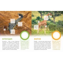 Кто живёт в зоопарке?