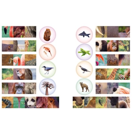 Кто живёт в зоопарке?