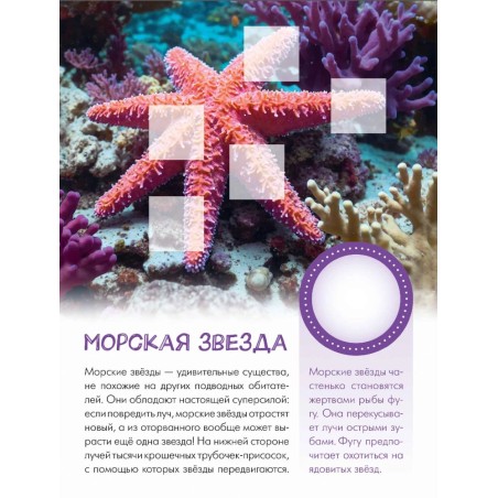 Кто живёт под водой?