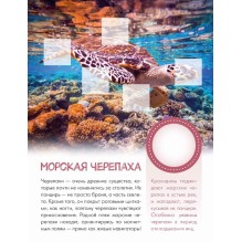 Кто живёт под водой?