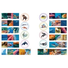 Кто живёт под водой?