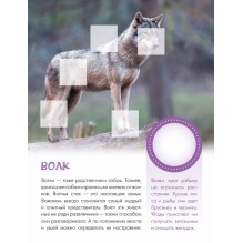 Кто живёт в лесу?