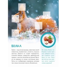 Кто живёт в лесу?