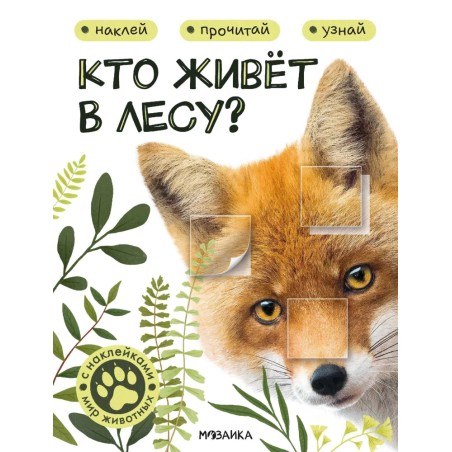Кто живёт в лесу?