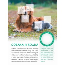 Кто живёт в деревне?