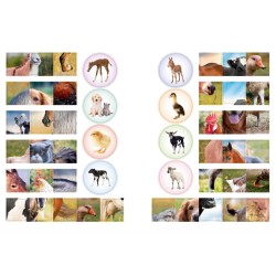 Кто живёт в деревне?