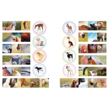 Кто живёт в деревне?