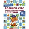 Большой курс развития дошкольника: с тестами и наклейками Большой курс развития дошкольника: с тестами и наклейками