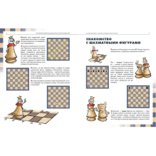 Приключения в шахматном королевстве