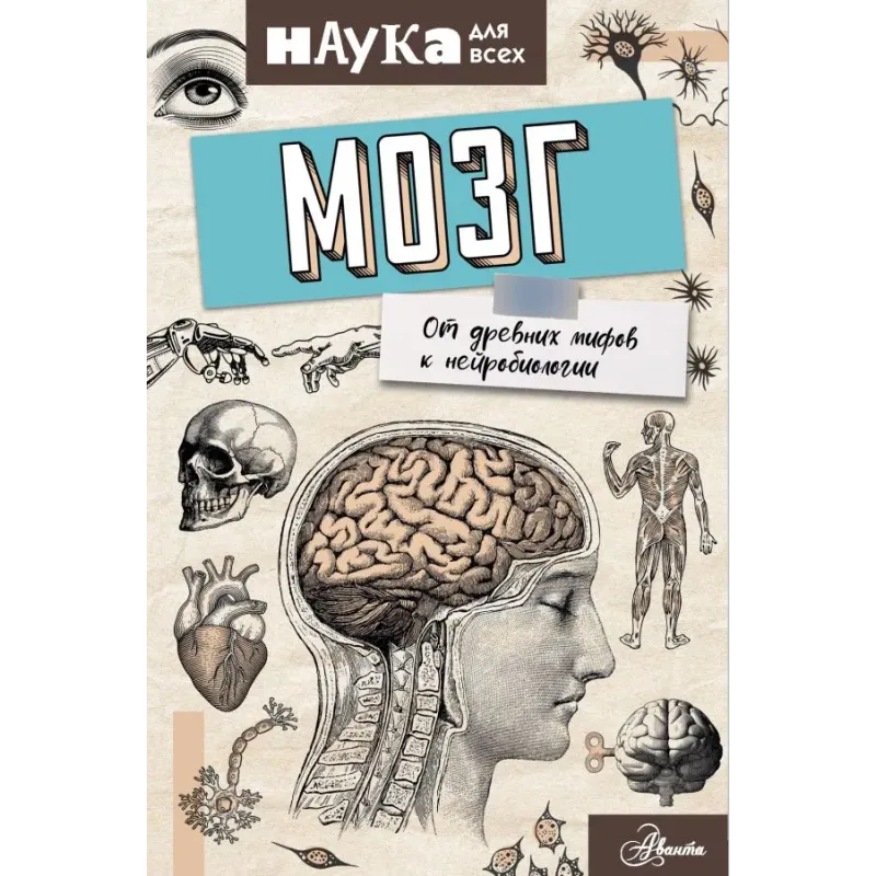 Мозг. От древних мифов к нейробиологии