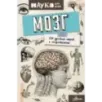 Мозг. От древних мифов к нейробиологии