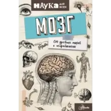 Мозг. От древних мифов к нейробиологии