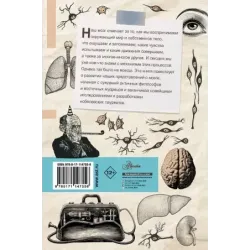 Мозг. От древних мифов к нейробиологии