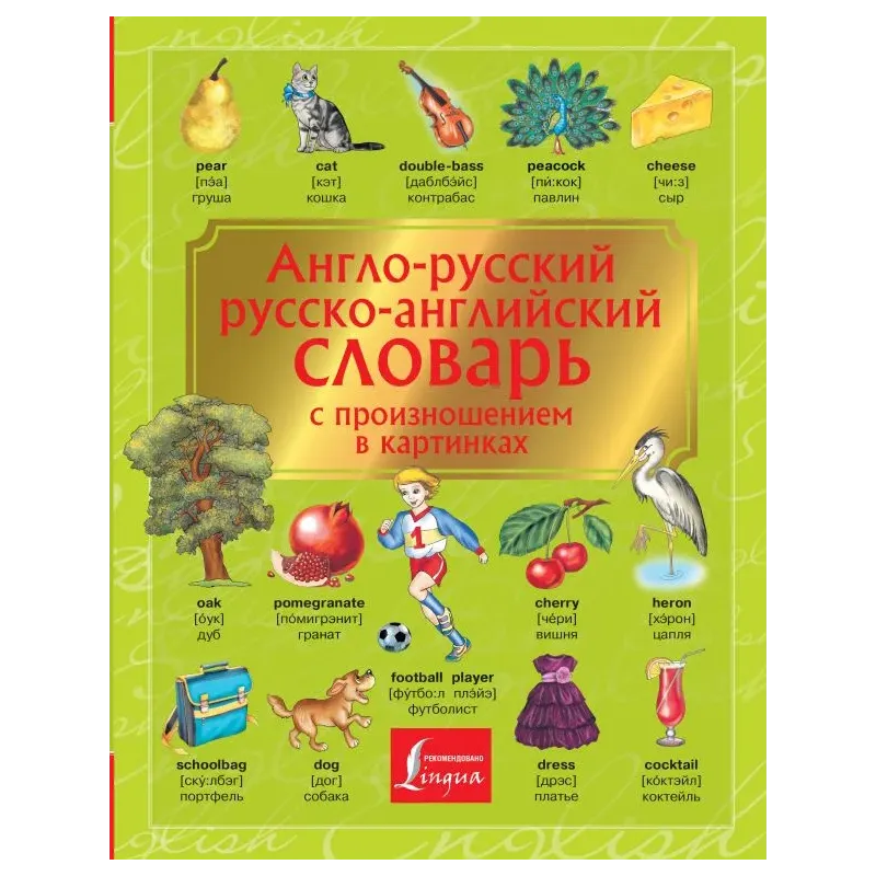 Англо-русский. Русско-английский словарь с произношением в картинках Англо-русский. Русско-английский словарь с произношением в картинках