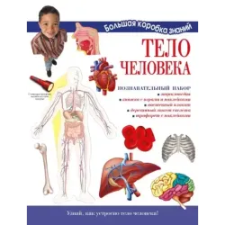 Тело человека. Познавательный набор