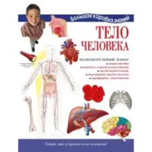 Тело человека. Познавательный набор