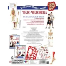 Тело человека. Познавательный набор