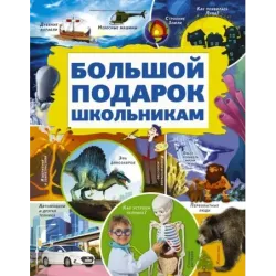 Большой подарок школьникам