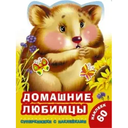 Домашние любимцы