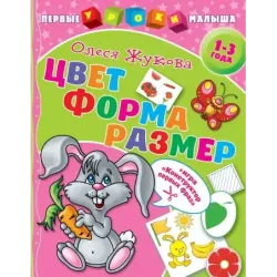 Цвет. Форма. Размер