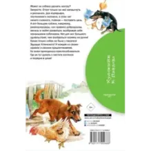 Как правильно любить собак.Рассказы