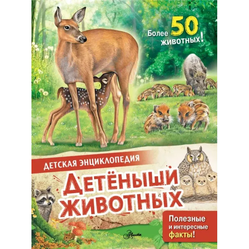 Детеныши животных Детеныши животных