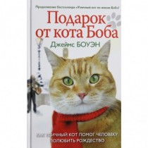 Лапа друга. Подарок от кота Боба. Как уличный кот помог человеку полюбить Рождество